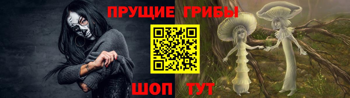 Псилоцибиновые грибы Cubensis Ижевск